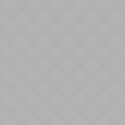 Lily Carter Lily Carter